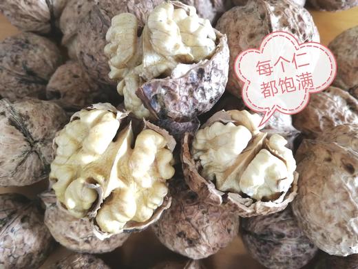 【买就送】云南野生古树核桃 (采用机器剥青皮 柴火烘干）！！ 商品图2