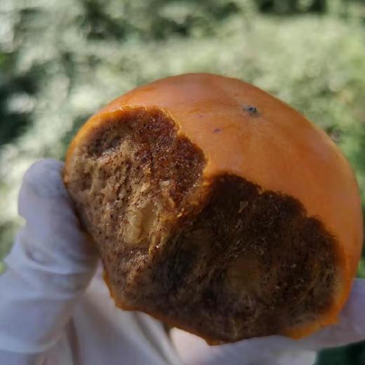 【山东巧克力脆柿子】约3斤/8-10颗，香浓柿子味，还透着一层层递进的巧克力香，好吃极啦 商品图3