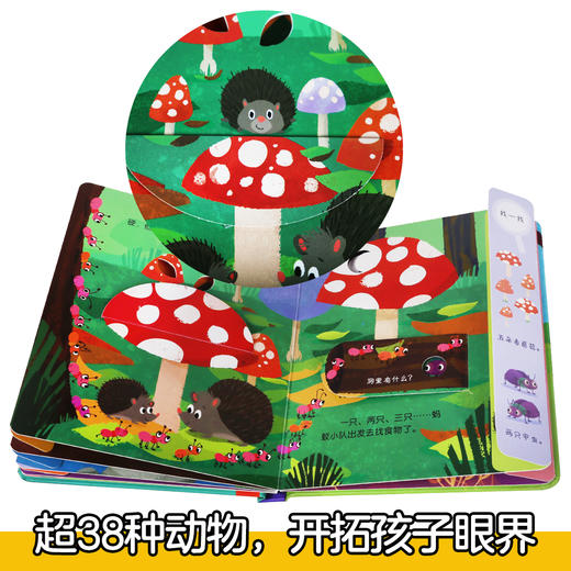 偷偷看自然翻翻书（共2册）丛林动物+森林动物  原价99.6 商品图7