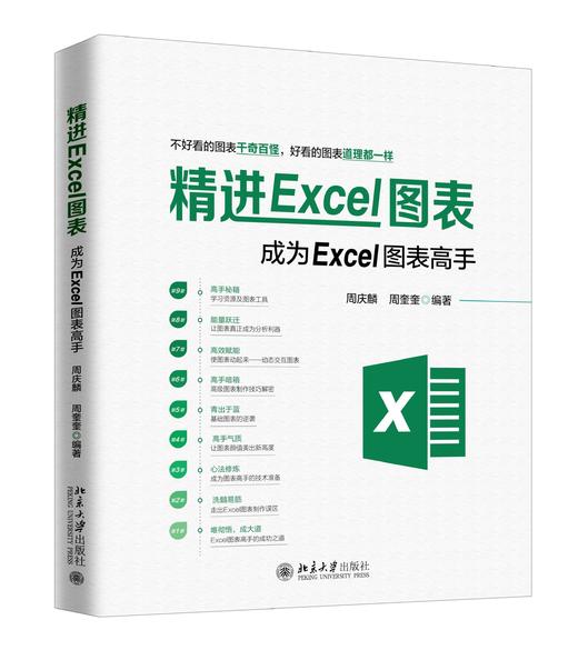 《精进Excel图表：成为Excel图表高手》 商品图0