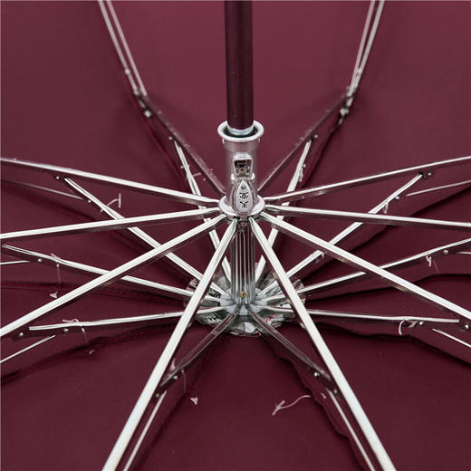 天堂伞 雨伞晴雨伞三折叠加大伞拒水一甩干双人伞经典商务伞 3311E碰2#酱红 商品图3