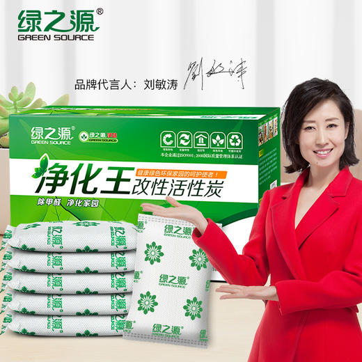 绿之源 1kg净化王活性炭 家居新房装修竹炭包新汽车内用吸去除甲醛清除剂除臭去味除味剂防潮碳包 商品图0
