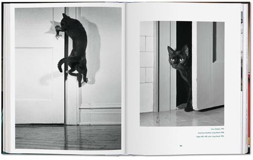 【现货】【TASCHEN】华特.钱多拉:猫咪摄影集1942 - 2018 商品图4