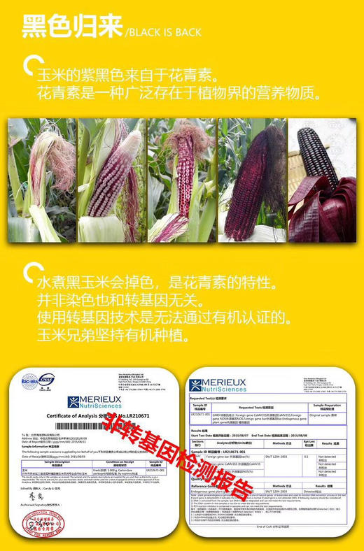 玉米兄弟 糯玉米 商品图7