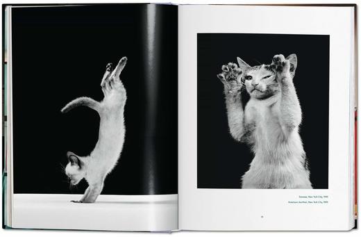 【现货】【TASCHEN】华特.钱多拉:猫咪摄影集1942 - 2018 商品图1