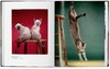 【现货】【TASCHEN】华特.钱多拉:猫咪摄影集1942 - 2018 商品缩略图3