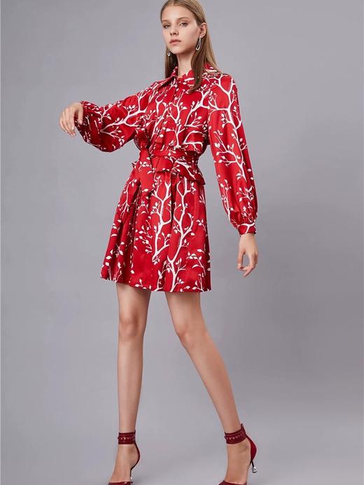 红底白树枝原创印花风衣式连衣裙 商品图3