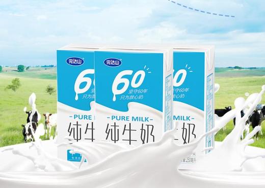 【纯牛奶】*完达山纯牛奶250ml*16盒早餐奶全脂儿童学生早餐 商品图2