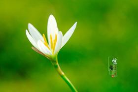 处暑之后，秋燥，皮肤干，嗓子不舒服等 ！国医大师推荐就吃它