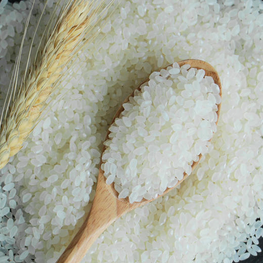 会员价6261元新疆天山雪米阿克苏越光米25kg粳米日本寿司专用特产