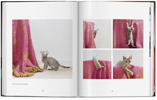 【现货】【TASCHEN】华特.钱多拉:猫咪摄影集1942 - 2018 商品图2