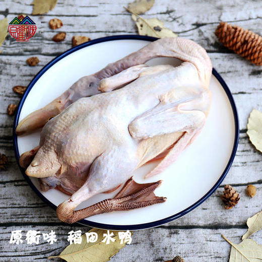 原衢味稻田水鸭 商品图0