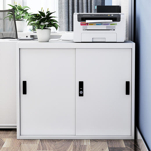 文件柜铁皮柜档案柜矮柜储物柜子 办公室财务办公凭证柜暖白色760高铁移门 商品图2