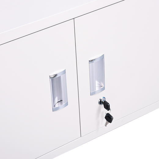 中伟矮柜钢制储物资料柜文件柜财务办公柜铁皮柜档案柜分五节单节 商品图3