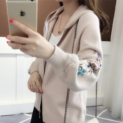 LM-28秋季新款宽松绣花长袖韩版连帽外套 商品图0