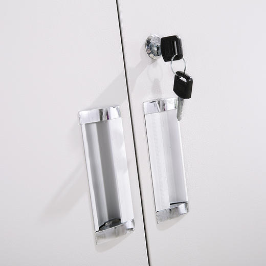 中伟资料柜文件柜办公柜钢制铁皮柜档案柜储物柜通体双节文件柜升级款 商品图1