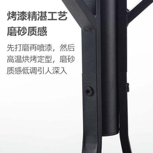溢彩年华 衣帽架落地衣架卧室北欧简易置衣架立式挂包架衣服架子创意挂衣架 设计师款典雅黑 DKC5571 商品图1