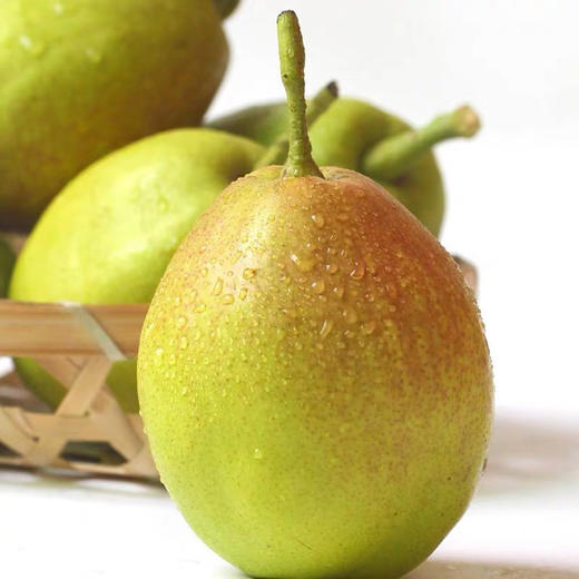 新疆库尔勒香梨5斤装 汁多渣少 商品图2