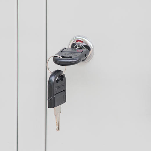 钱柜矮柜储物柜文件柜铁皮柜办公柜子资料财务柜带锁 780对开矮柜 商品图2