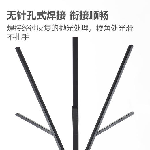 溢彩年华 衣帽架落地衣架卧室北欧简易置衣架立式挂包架衣服架子创意挂衣架 设计师款典雅黑 DKC5571 商品图3