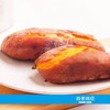板栗薯 商品缩略图4