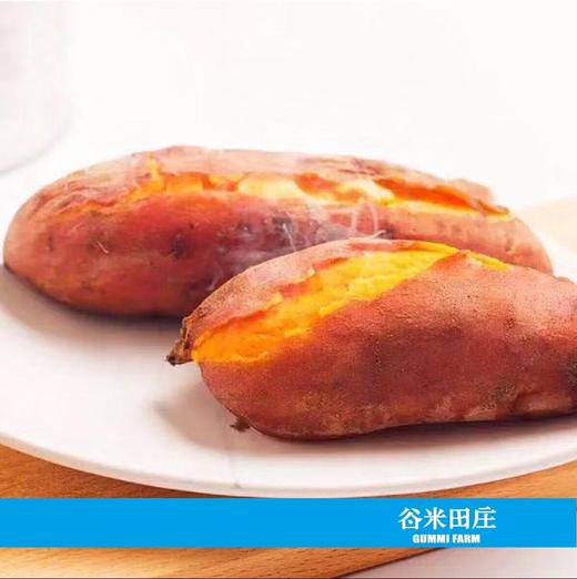 板栗薯 商品图4