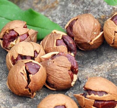 【2019新货】临安山核桃（快递停发） 商品图0