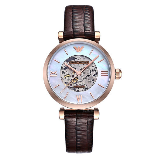 【中检鉴定】【全国联保】专柜版 阿玛尼（Emporio Armani）手表 机械时尚休闲 女士腕表AR1993 商品图0
