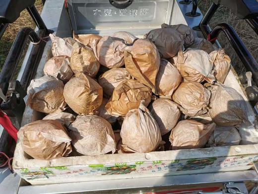 2025山西运城酥梨 多规格 顺丰包邮 商品图8