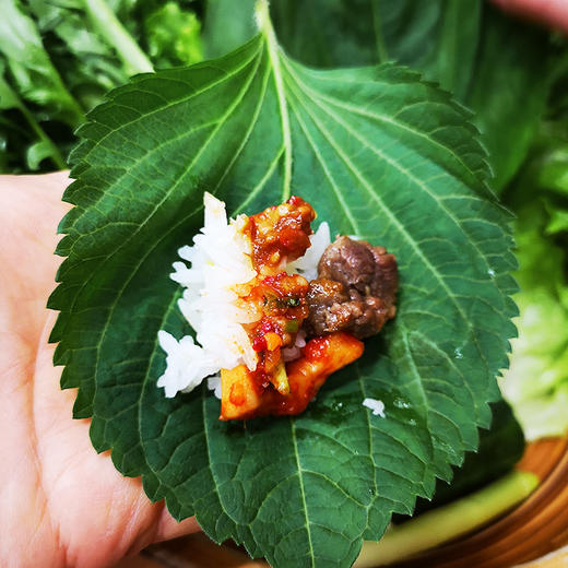 신가식탁 깻잎20p 商品图1