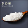 商博士黑龙江鲜香米正宗东北香米大米天然香米5kg 商品缩略图2