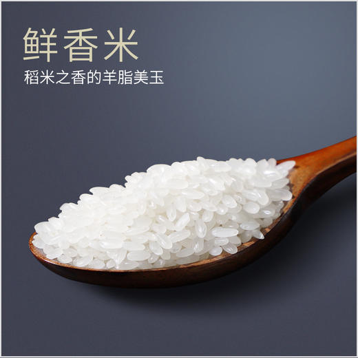 商博士黑龙江鲜香米正宗东北香米大米天然香米5kg 商品图2
