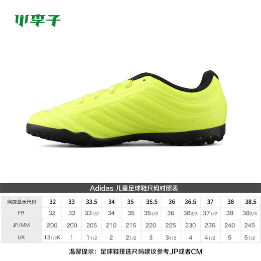 ADIDAS/阿迪达斯 COPA 19.4 TF J 童款运动足球鞋 商品图1