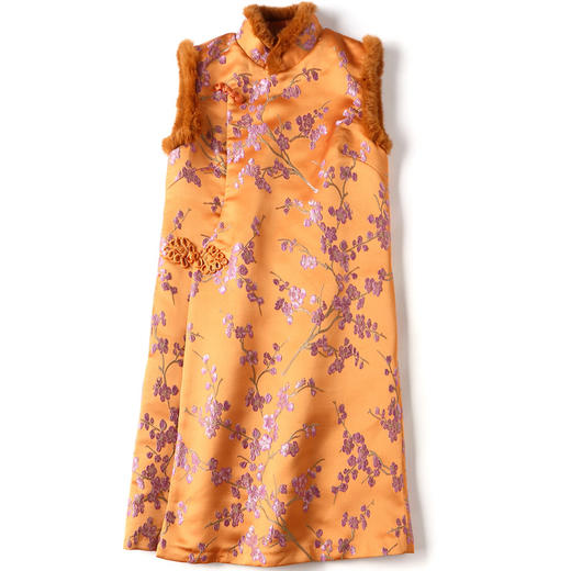 AYK-1807027秋冬新款中国风提花立领毛边拼接连衣裙 商品图4