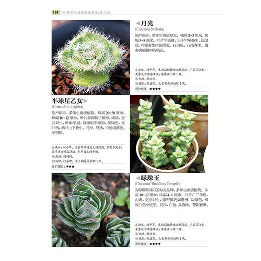 700种多肉植物原se图鉴 第二版 商品图5