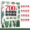 700种多肉植物原se图鉴 第二版 商品缩略图0