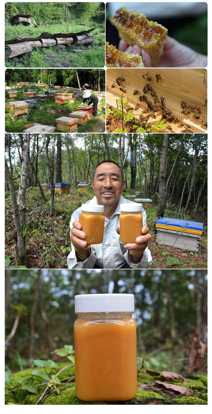 蜂蜜天然深山农家野生秦岭土蜂蜜结晶蜜