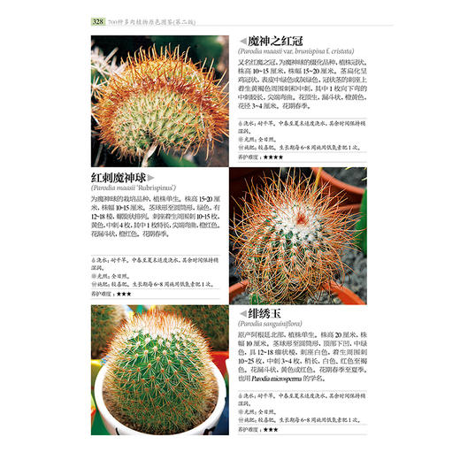 700种多肉植物原se图鉴 第二版 商品图8