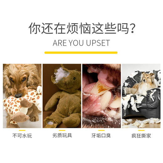 莱克EVA宠物玩具  狗狗耐啃咬玩具球马犬边牧泰迪训狗磨牙球互动练犬弹力球 商品图1