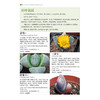700种多肉植物原se图鉴 第二版 商品缩略图2