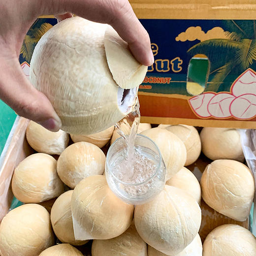 【2026新货 泰国椰皇】泰国天然椰子制成，无任何添加，奶香味足，老少皆宜的一款健康饮品。家庭分享装，江浙沪皖顺丰包邮~ 商品图2