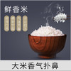 商博士黑龙江鲜香米正宗东北香米大米天然香米5kg 商品缩略图1
