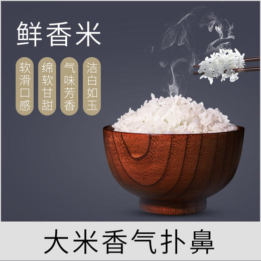 商博士黑龙江鲜香米正宗东北香米大米天然香米5kg 商品图1