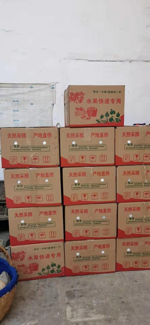 2025山西运城酥梨 多规格 顺丰包邮 商品图6