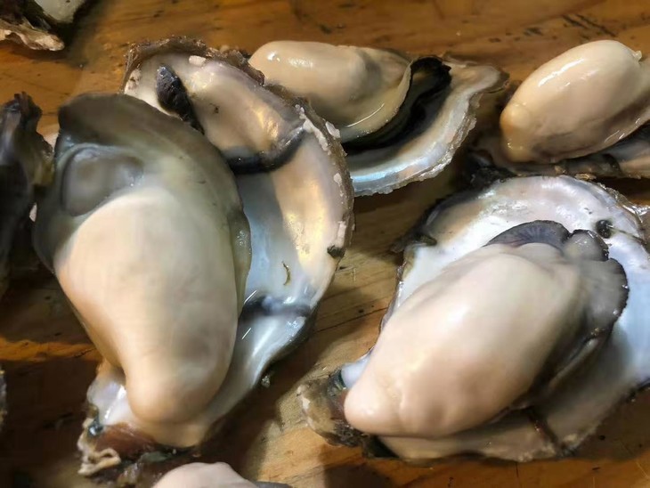 【肥美鲜甜】福建小生蚝 好吃美味 肥美鲜甜 5斤装 广西区内包邮