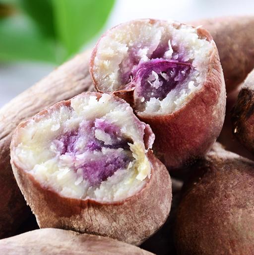 快递包邮连州高山一点红番薯