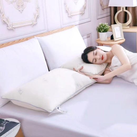 板蓝根枕头 | 用板蓝根做枕头，睡出健康觉 商品图2