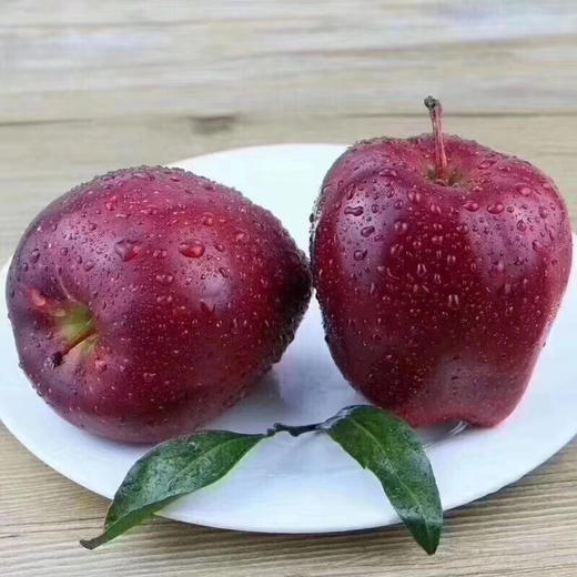 甘肃正宗礼县花牛苹果 4-5斤±2两 商品图6