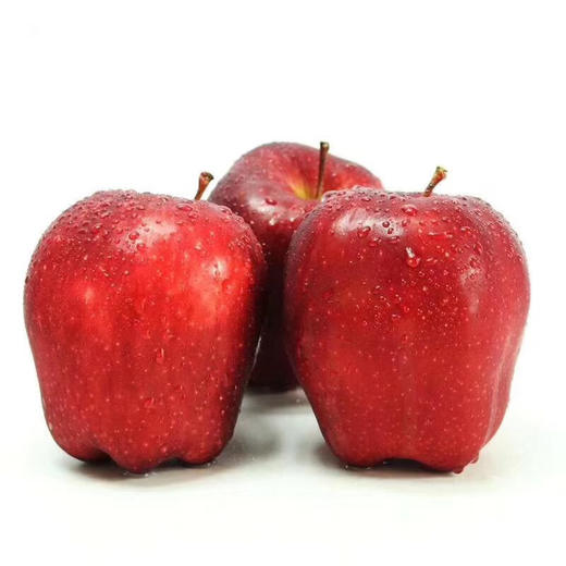 甘肃正宗礼县花牛苹果 4-5斤±2两 商品图5