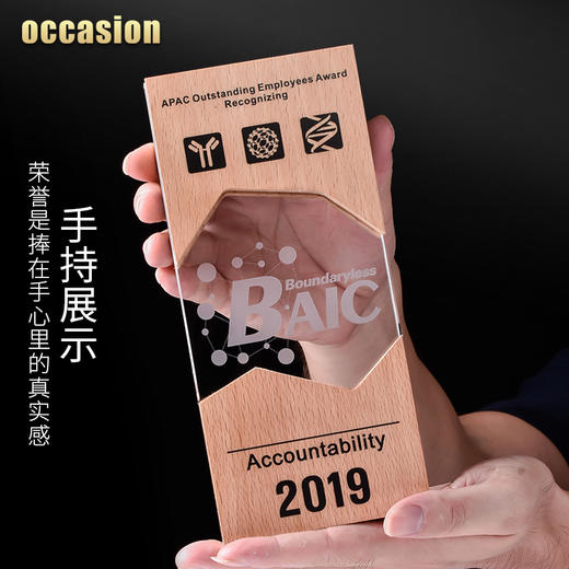 水晶奖杯定制创意奖牌定做授权牌木质荣誉牌匾免费刻字纪念品制作 商品图2